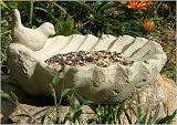 Designer Stone 4151-C Bird on Shell Birdfeeder