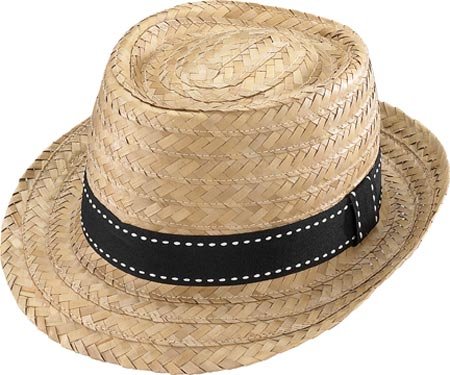 Henschel Men's 3820 Hat