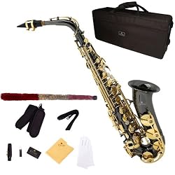 Cecilio 2Series AS-280BNG Black Nickel Plated Body w/ Gold Plated Keys Alto Saxophone w/ Case and Accessories