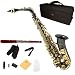 Cecilio 2Series AS-280BNG Black Nickel Plated Body w/ Gold Plated Keys Alto Saxophone w/ Case and Accessories