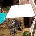 10' Beauty-Mark Maui (8' Proj)Rt. Motor Awning