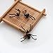 ODETOJOY 1 Pair Trendy Black Spider Stud Earring Punk Unisex Funny 3D Animal Cuff Earring Women Men Jewelery