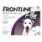 Merial Frontline Plus Flea and Tick Control for 45- to 88-Pound Dogs and Puppies, 6 Month