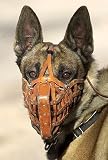 Muzzle Fighting for Police Service Dogs DVD