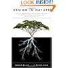 Design in Nature: How the Constructal Law Governs Evolution in Biology, Physics, Technology, and Social Organization