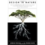 Design in Nature: How the Constructal Law Governs Evolution in Biology, Physics, Technology, and Social Organization ~ Adrian Bejan