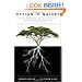 Design in Nature: How the Constructal Law Governs Evolution in Biology, Physics, Technology, and Social Organization