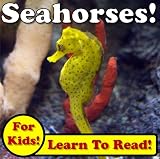 Seahorses! Learn About Seahorses While Learning To Read - Seahorse Photos And Facts Make It Easy! (Over 45+ Photos of Seahorses)