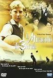 Il Miracolo Di Berna