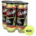 Gamma Championship Tennis Balls - Case of 24 Cans