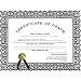 Death Certificate Halloween Party Gift (B501)