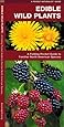 Edible Wild Plants: A Folding Pocket Guide to Familiar North American Species (Pocket Naturalist Guide Series)
