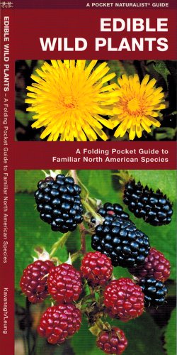 edible wild plants a folding pocket guide to familiar north american species pocket naturalist guide series