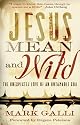 Jesus Mean and Wild: The Unexpected Love of an Untamable God