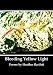 Bleeding Yellow Light at Amazon Books: 51CsarBhoiL._SL75_