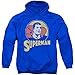 Hoodie: DC Comics - Super Circle Pullover Hoodie Size S