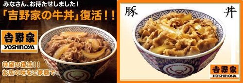 吉野家牛丼15食＆豚丼15食（冷凍）計３０食セット！通常１～３営業日で迅速配送中！