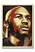 Chicago Bulls Michael Jordan, Shepard Fairey Dual-Autographed Hall of Fame Portrait Silkscreen Print