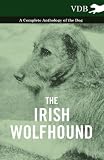 The Irish