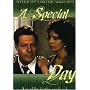 A Special Day