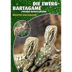 Die Zwergbartagame