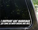 I support gay marriage (as long as both chicks are hot) funny decal / sticker