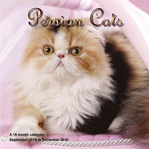 Persian Cat Calendar - 2016 Wall calendars - Cat Calendars - Kitten Calendar - Monthly Wall Calendar by Magnum