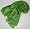 Parrot Green