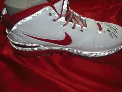 Lebron James Autographed/Hand Signed Basketball Shoe