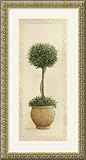 IMAGE OF Topiary Ball I Framed Art Print by Welby, 13.87 in. x 25.87 in. Framed