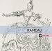 Classical Music : Rameau - Pigmalion & Les Grands Motets / Fouchecourt, Piau, Gens, Le Concert Sprituel, Niquet