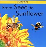 From Seed to Sunflower (Lifecycles)