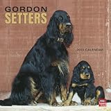 Gordon Setters 2010 Square Wall
