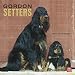 Gordon Setters 2010 Square Wall