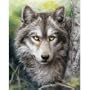 Forest Watch Jigsaw Puzzle - 500 Pieces