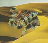 Django Django – Django Django
