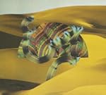 Django Django