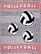 Spike Volleyball Woven Throw Blanket 2 1/2 Layer ECO2cotton USA Made