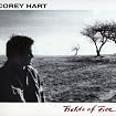 Fields of Fire