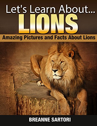 Lions (Let's Learn About)