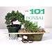 Juniper Starter Kit - 6 Inch Bonsai Pot