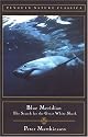 Blue Meridian: The Search for the Great White Shark (Classic, Nature, Penguin)