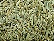 Rye, 5 Lb Bag, Whole-grain, Biologically Grown, Non-GMO