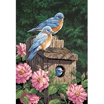 Paint by Number Garden Bluebirds