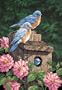 Dimensions PaintWorks/Paint By Number, Garden Bluebirds