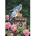 Dimensions Needlecrafts Paintworks Paint By Number, Garden Bluebirds