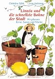 Die schnellste Bohne der Stadt: Wir pflanzen Kerne, Samen und Früchte