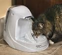 Drinkwell Platinum Water Fountain