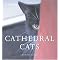 Cat Photography
