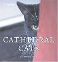 Cathedral Cats